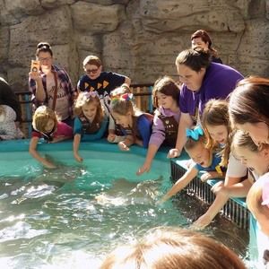 Meet your Posher, Heidi